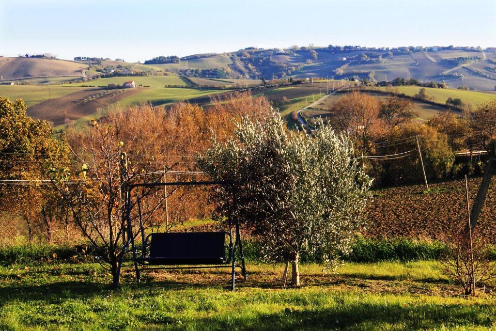 B&B Aesis La Dolce Collina Jesi Exterior foto